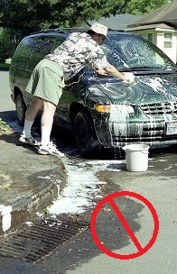 car washing on the street causing soap to go down storm drain and pollute