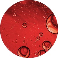 11-transmission-fluid.jpg