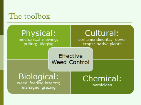 IPM chart