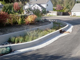 Mt Vista rain garden LID