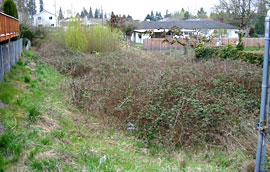 overgrown vegetation Problem Biofiltration Swale 