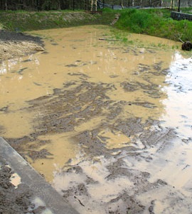 Problem Detention Pond sediment