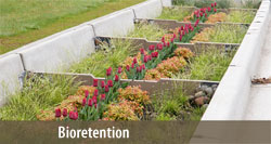 SMtitleBioretention.jpg