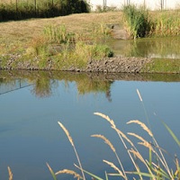 Wetpond sm sq.jpg