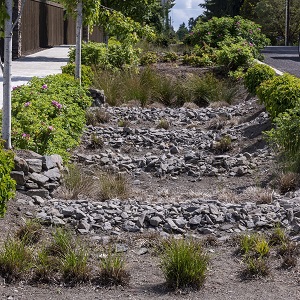 A well maintained bioretention cell or rain garden