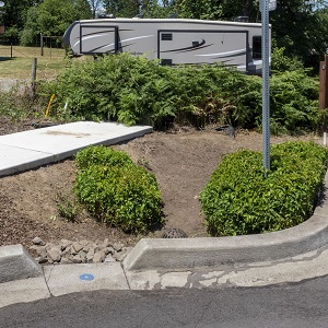 A bioretention cell after maintenance, free of weeds, sediment and with mulch.