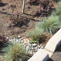 bioretention inlet square.jpg