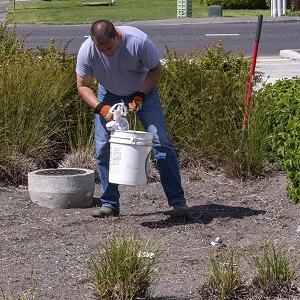 Person picking up trash and debris from a bioretention cell.