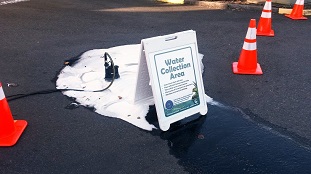 charity car wash Waste Water Collection Area.jpg