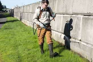 professional landscaper applying herbicide