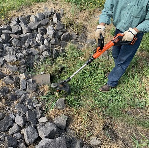 weed whacking around an inlet 