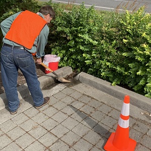Clearing a curb cut around permeable pavers.