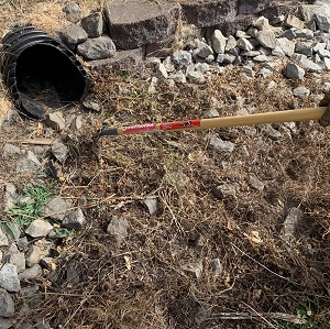 clearing vegetation of off the riprap