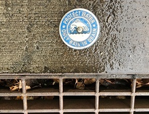 storm drain medallion