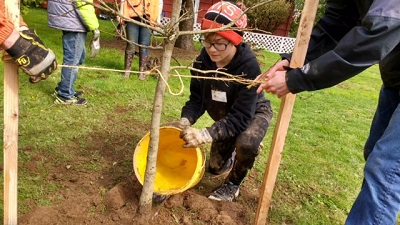 student planting tree 400px.jpg