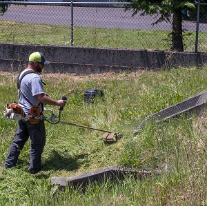 Man tripping vegetation in swale.