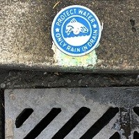 A medallion that reads "Protect water, only rain in drain" beside a storm drain grate.