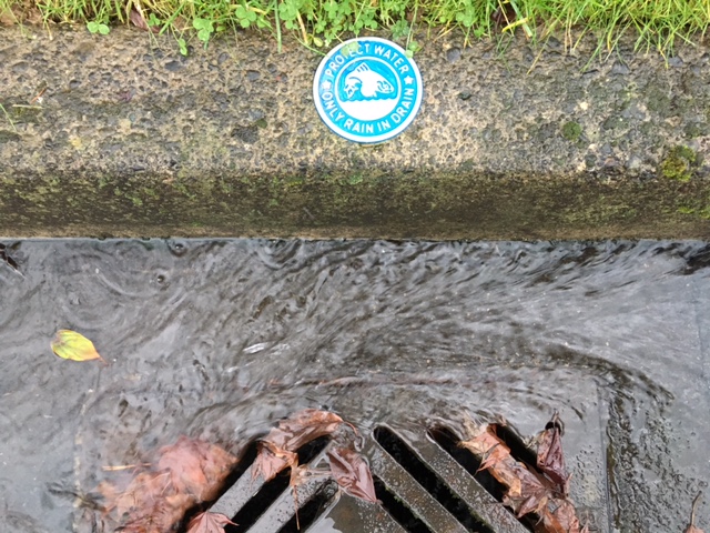 Rain going down a storm drain. 