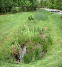 Detention Pond with water