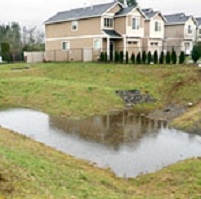 Infiltration Basin with water